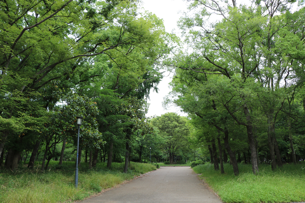 記念樹の森 特別史跡 大阪城公園 記念樹の森 特別史跡 大阪城公園