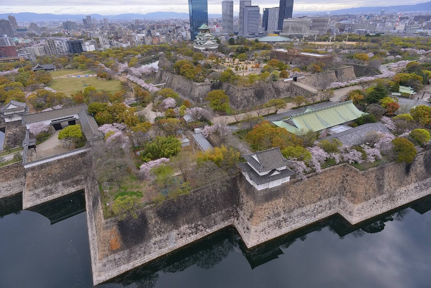 フォトギャラリー 大阪城の四季｜特別史跡 大阪城公園