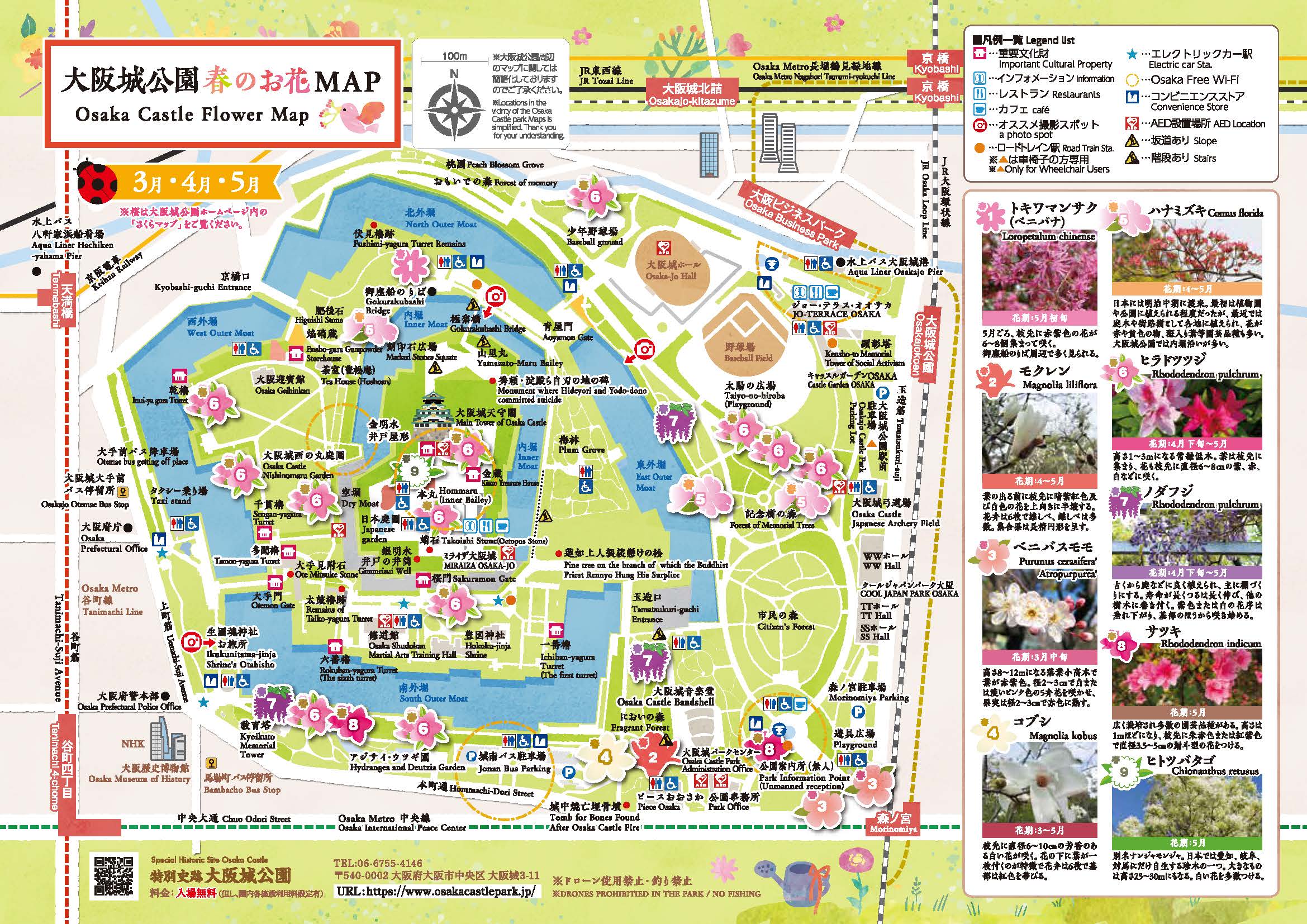 大阪城公園お花MAP 春