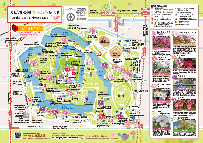 大阪城公園お花MAP 春