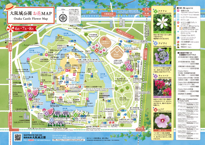 大阪城公園お花MAP 夏