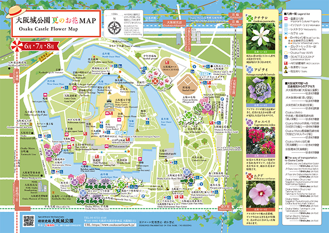 大阪城公園お花MAP 夏