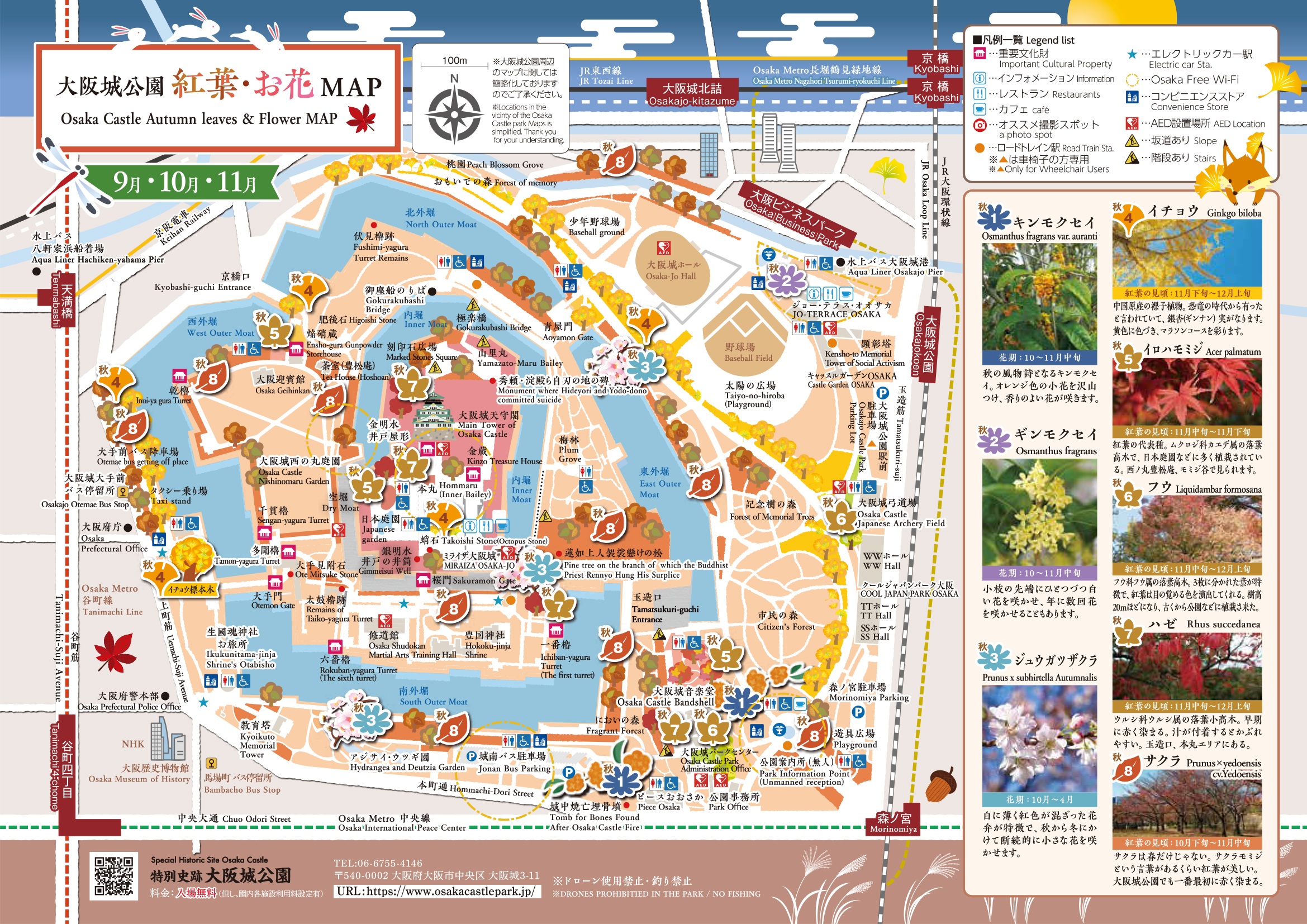 大阪城公園お花MAP 秋