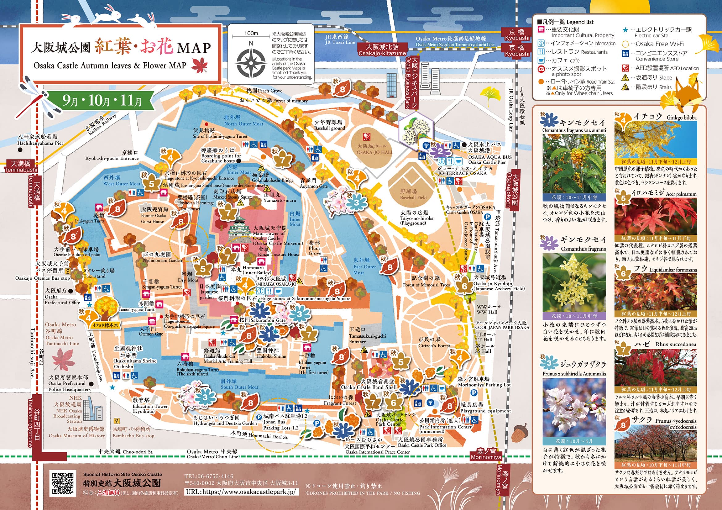 大阪城公園お花MAP 秋