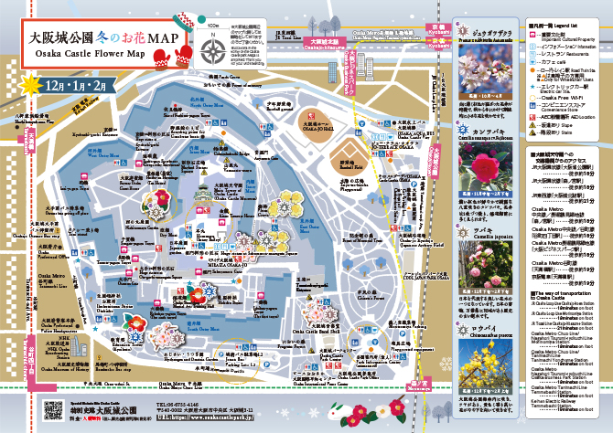 大阪城公園お花MAP 冬ver