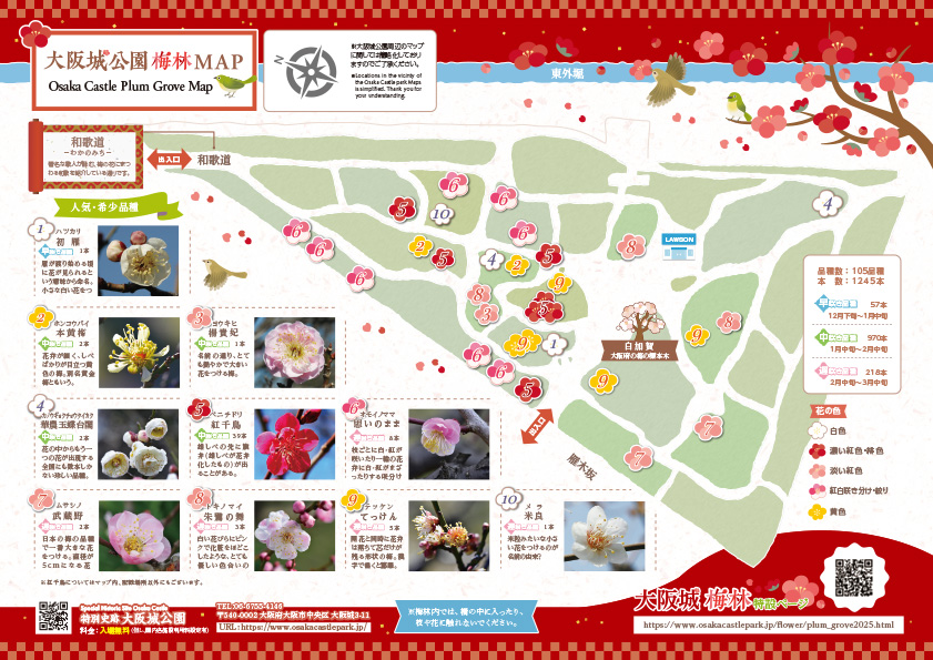 大阪城公園お花MAP 梅林