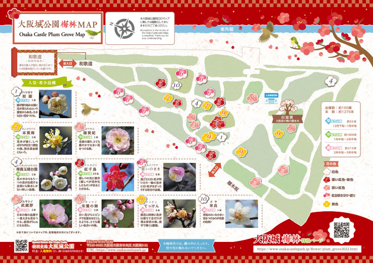 大阪城 梅林2 花と緑 特別史跡 大阪城公園