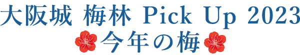大阪城 梅林 Pick Up 2023
