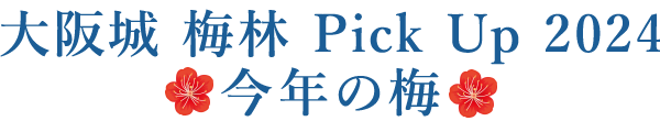 大阪城 梅林 Pick Up 2023