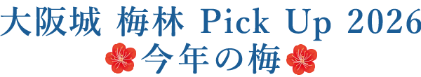 大阪城 梅林 Pick Up 2026