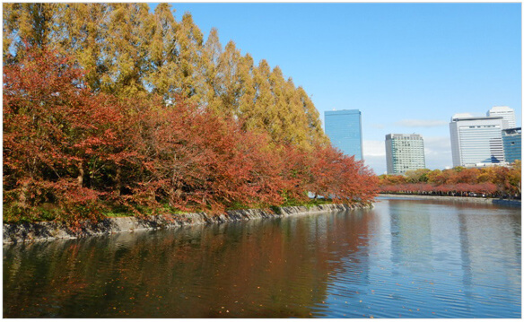 東外堀・市民の森