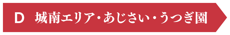 D 城南エリア・アジサイウツギ園