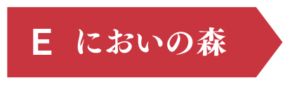 E においの森