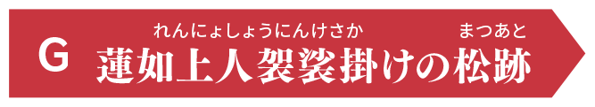 G 蓮如上人袈裟掛（れんにょしょうにんけさか）けの松跡（まつあと）