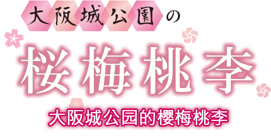 大阪城公园的樱梅桃李