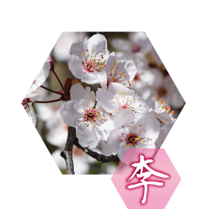 李