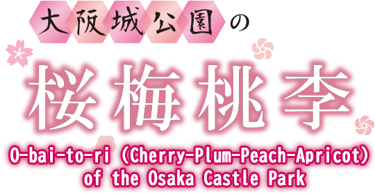 O-bai-to-ri (Cherry-Plum-Peach-Apricot) of the Osaka Castle Park