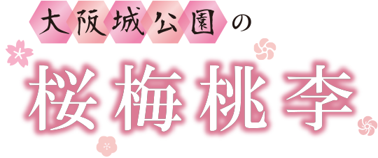 大阪城公園の桜梅桃李