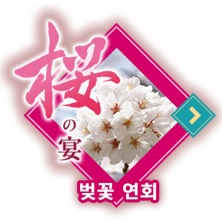 벚꽃 연회